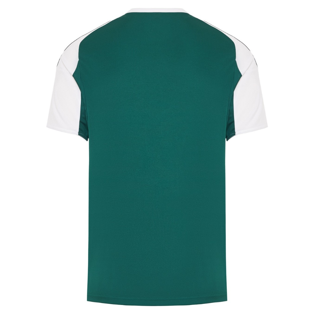 Men's Panathinaikos 2025/26 Home Jersey