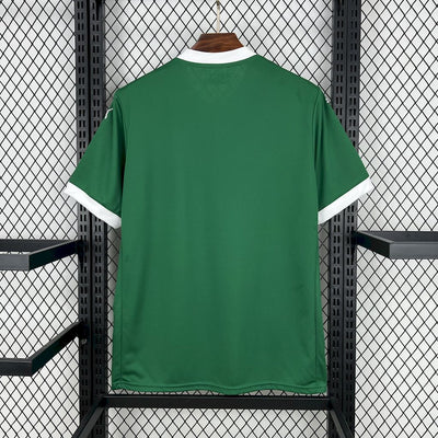 Men’s Palmeiras 2025 Home Jersey