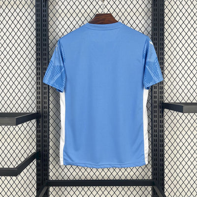 Men’s Palmeiras 2025 Blue GK Jersey